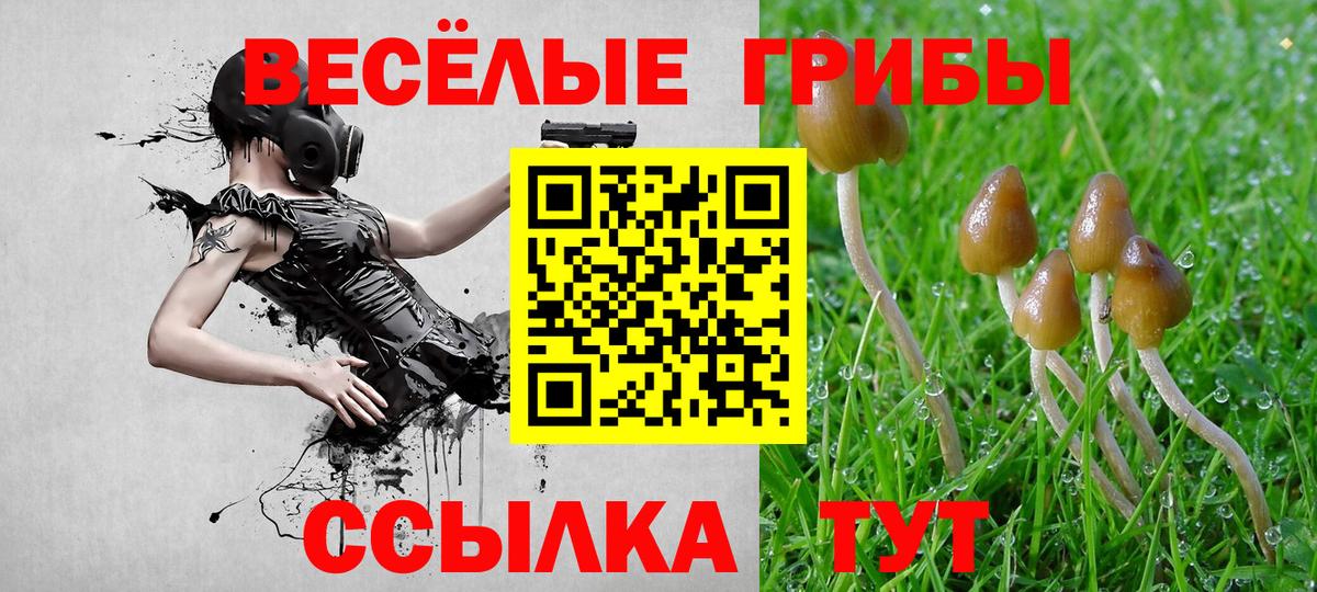 Галлюциногенные грибы мухоморы  Вход с VPN  Галлюциногенные грибы прущие грибы  Менделеевск 